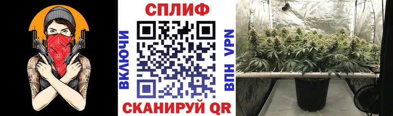 купить  цена  Руза  Шишки марихуана Amnesia 